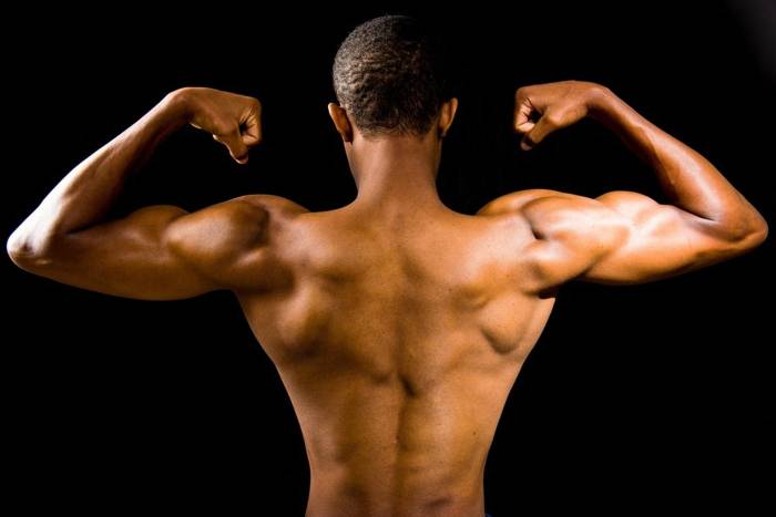 Major Muscle Groups | Body muscle anatomy, Human body muscles, Muscular ...